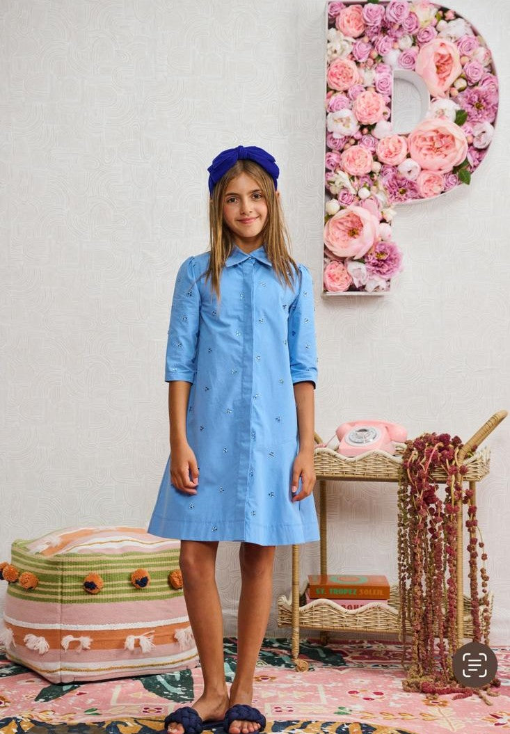 Porter Blue Button Down W Stone Clusters #2368